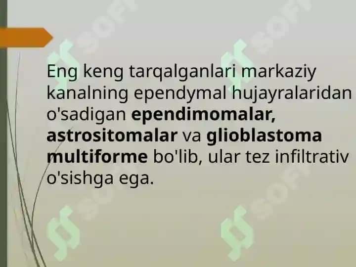 Orqa miya o’smalari 6