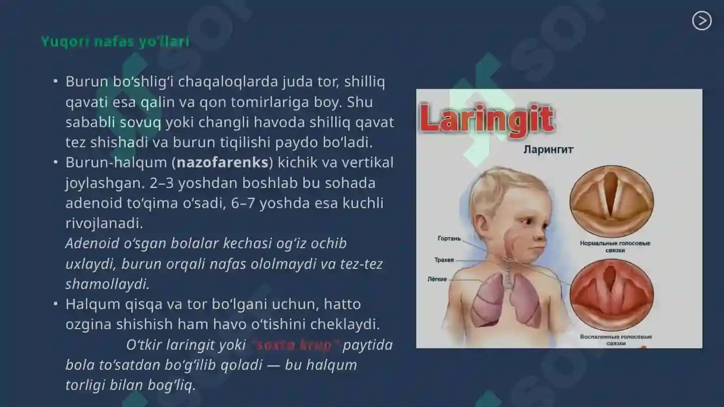 BOLALARDA NAFAS TIZIMI ANATOMO-FIZIOLOGIK XUSUSIYATLARI 4