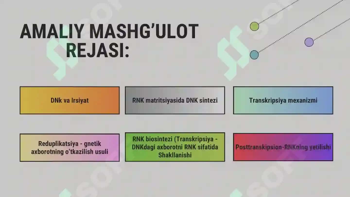 molekulyar biologiya 2