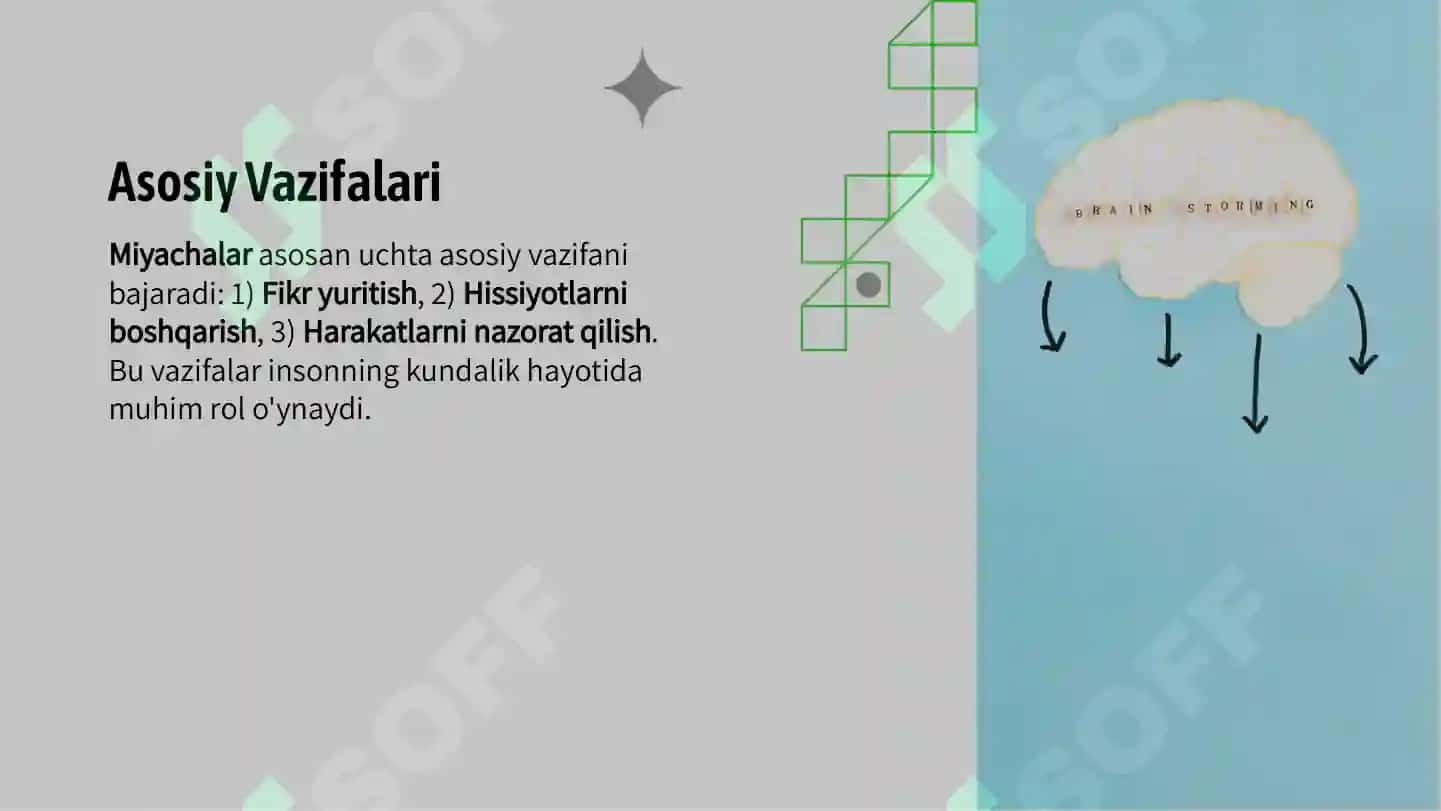Miyachalar Vazifalari 4