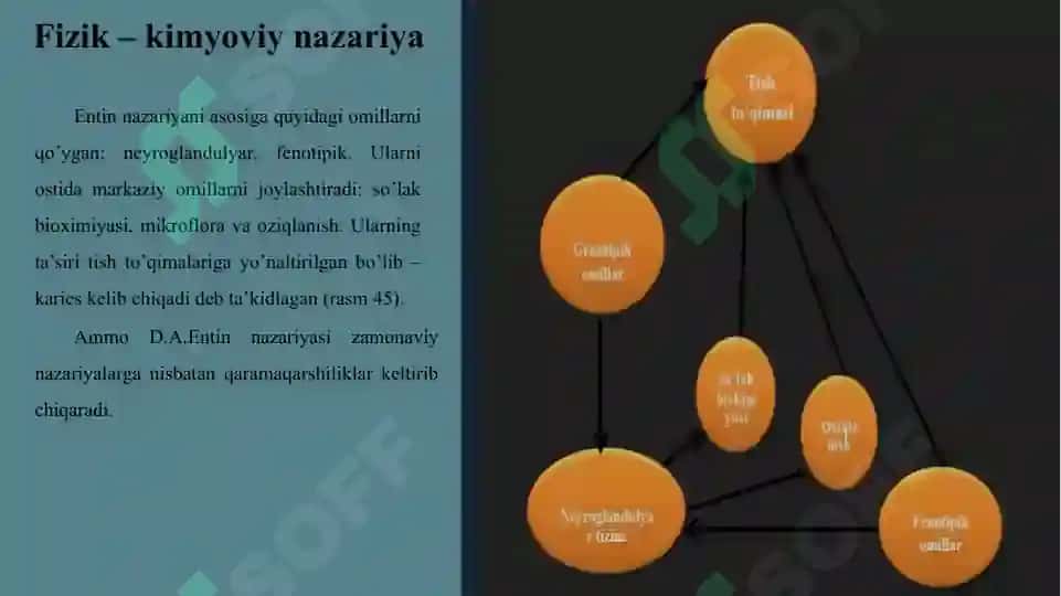 Kariyes kelib chiqish nazaryalari 4
