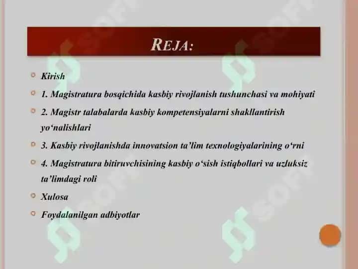 Magistratura talabasini kasbiy rivojlanishi. 2