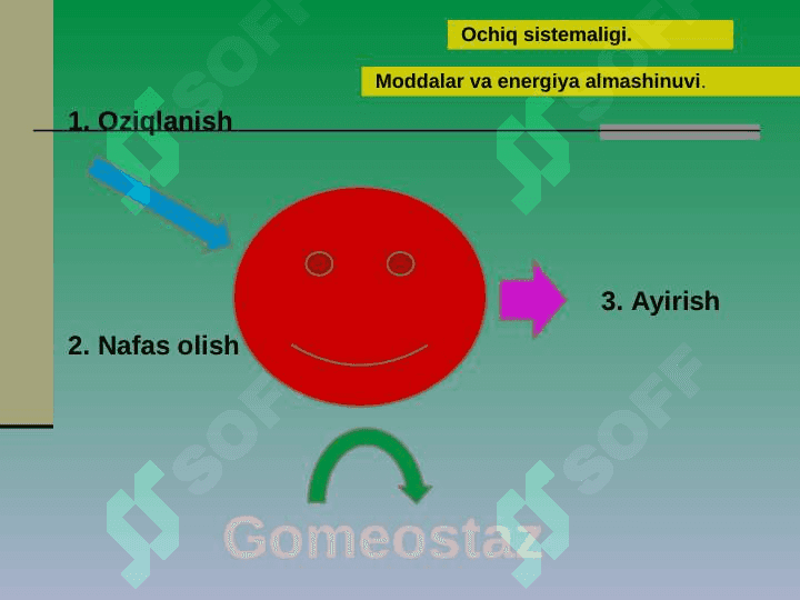Hayot mohiyati va tiriklik xususiyatlari 6
