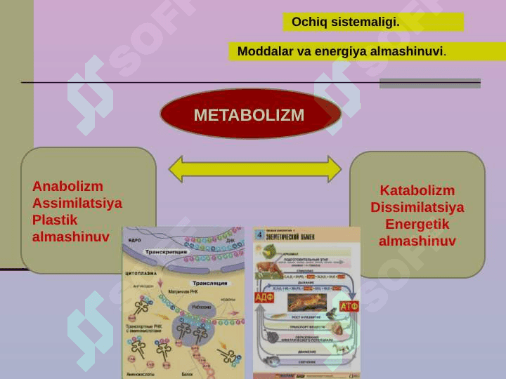 Hayot mohiyati va tiriklik xususiyatlari 7