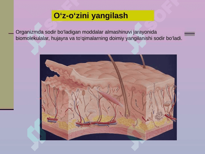 Hayot mohiyati va tiriklik xususiyatlari 8
