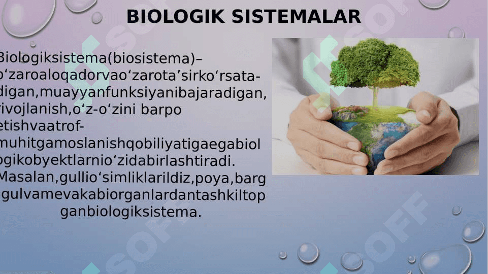 Ekologiya va hayot. Biologik sistema 2