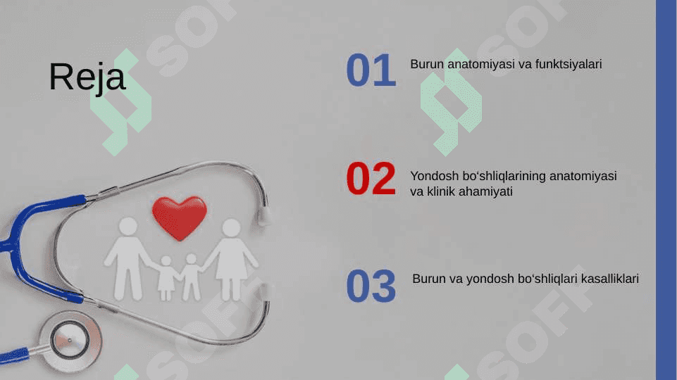 Burun va yondosh bo‘shliqlarining klinik anatomiyasi. 2