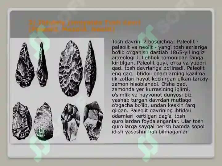 Ibtidoiy jamoa tuzumining shakllanishi 4
