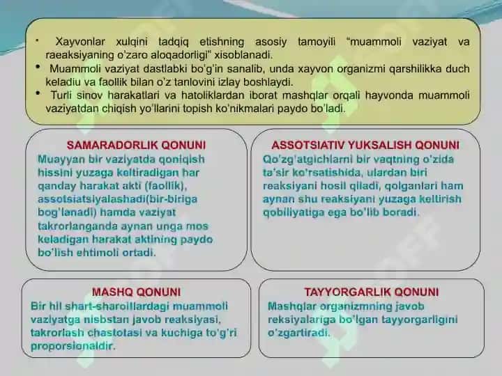 Sotsialpsixologiya. Ijtimoiy psixologiyaning asosiy yo'nalishlari. 5