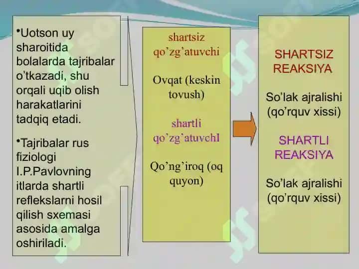 Sotsialpsixologiya. Ijtimoiy psixologiyaning asosiy yo'nalishlari. 7