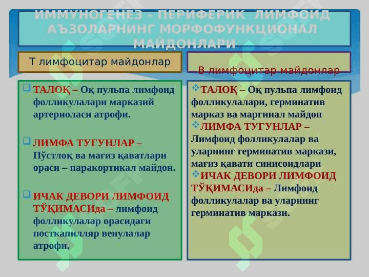 ИММУН ТИЗИМИНИНГ ШАКИЛЛАНИШИ ВА ЁШГА ҚАРАБ ЎЗГАРИШИ 3