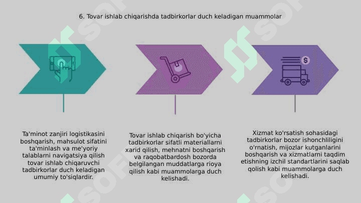 Tovar ishlab chiqarish va xizmat ko'rsatish bo'yicha tadbirkorlikni rivojlantirish 8
