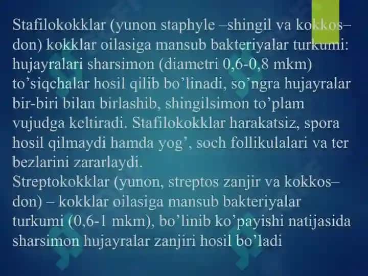 Dermatozoonozlar va Terining yiringli kasalliklari-piodermitlar 7