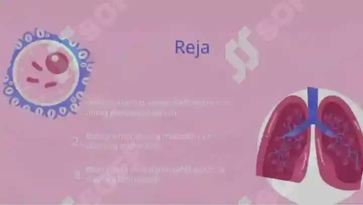 ekologiya va biologik monitoring 2
