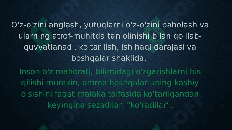 MARTABA TASHKILIY XULQNING ELEMENTI SIFATIDA pptx 7