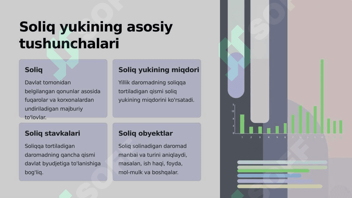 Soliq yuki va uni aniqlash usullari 2