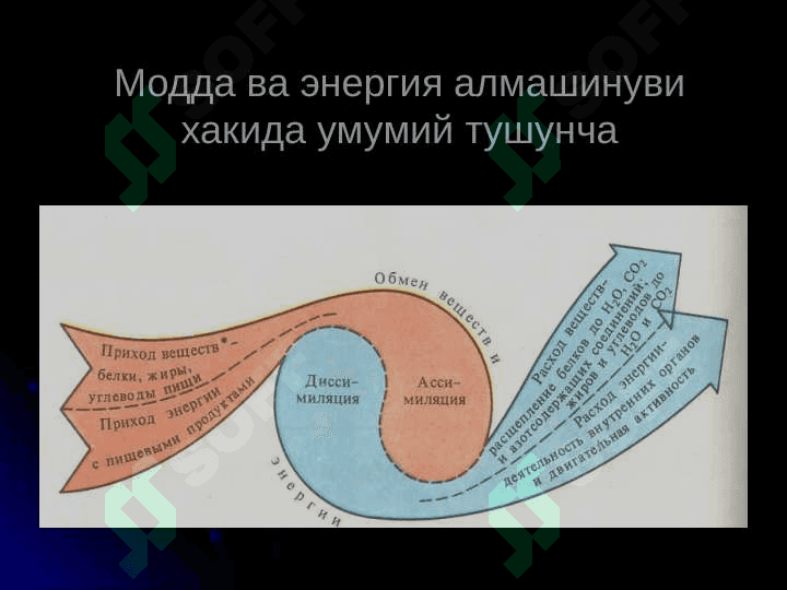 Organizmda energiya
 almashinuvi 5