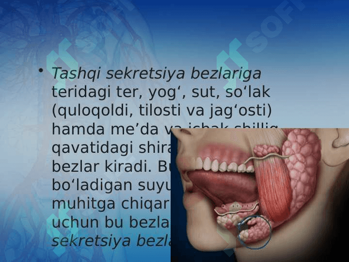 Ichki sekretsiya bezlari haqida umumiy tushuncha 3