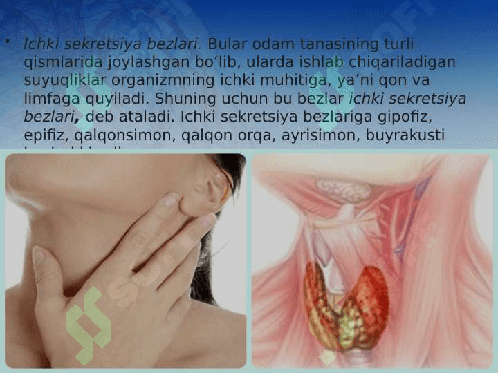 Ichki sekretsiya bezlari haqida umumiy tushuncha 4