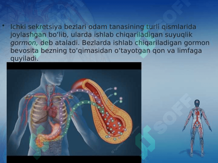 Ichki sekretsiya bezlari haqida umumiy tushuncha 7