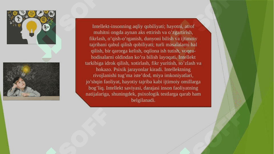 Intellekt va Kreativlik nazariyalari 3