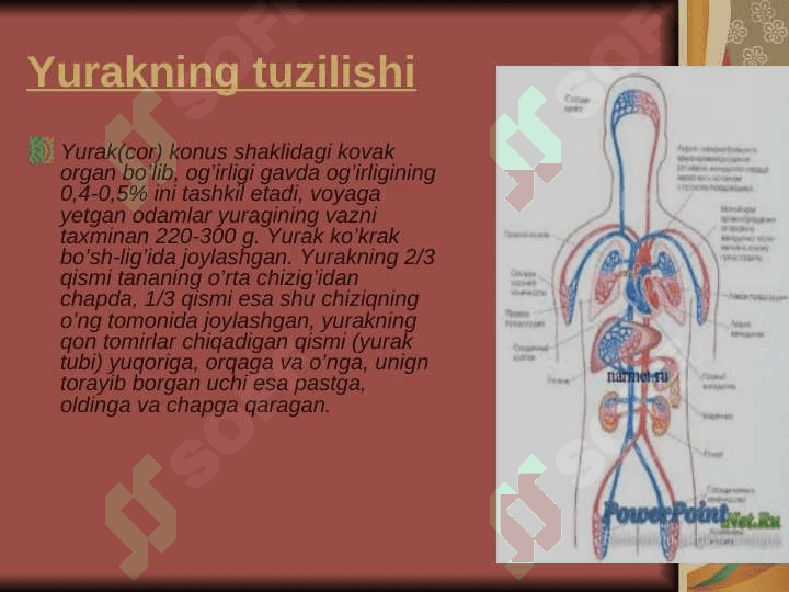 Yurak 2