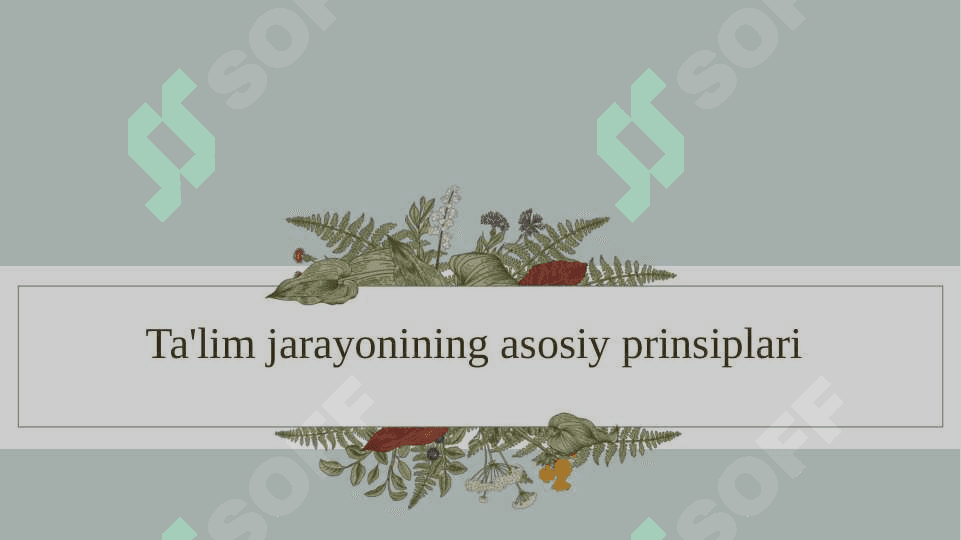 Ta’lim jarayonining prsiplari 5