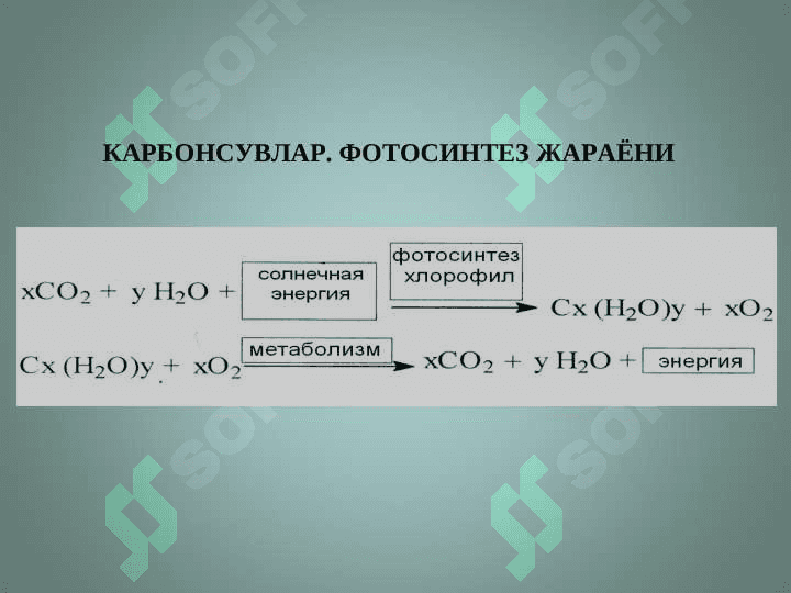 МОНОСАХАРИДЛАР 4