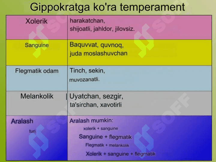 Muhandis faoliyatda individual tipologik xususiyatlar. pptx 6