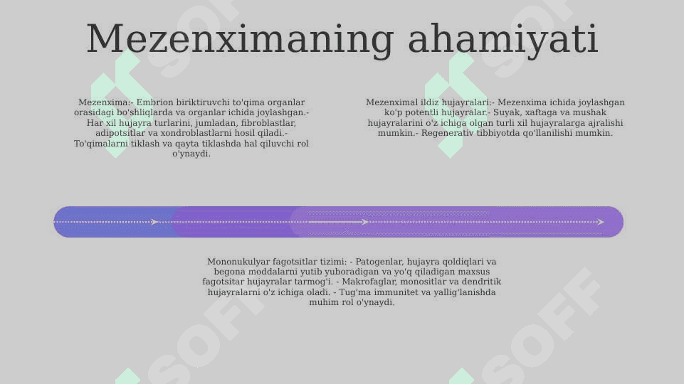 Mezenximaning tuzilishi va ahamiyati. Mononuklear-fagotsitlar tizimi . Tarkibi funksional ahamiyati 3