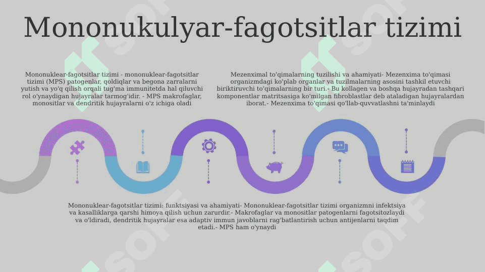 Mezenximaning tuzilishi va ahamiyati. Mononuklear-fagotsitlar tizimi . Tarkibi funksional ahamiyati 4