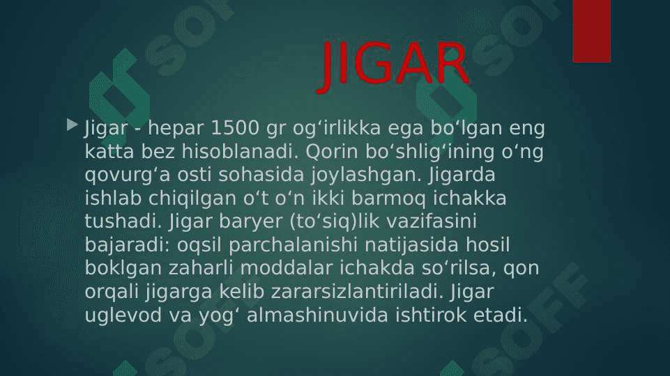 JIGAR, ME’DA OSTI BEZI UNING YOSHGA QARAB O’ZGARISHI 2