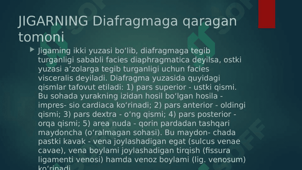 JIGAR, ME’DA OSTI BEZI UNING YOSHGA QARAB O’ZGARISHI 3