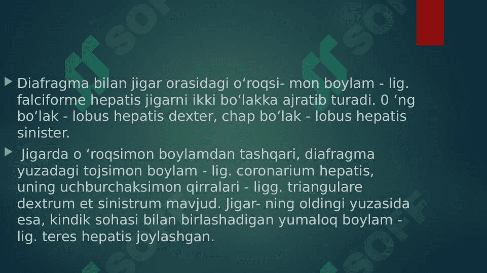 JIGAR, ME’DA OSTI BEZI UNING YOSHGA QARAB O’ZGARISHI 4