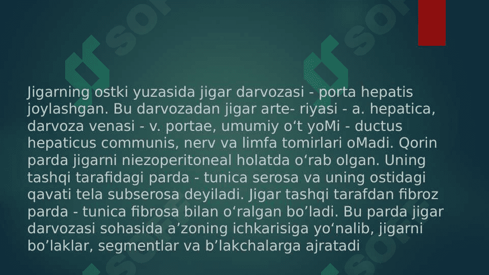 JIGAR, ME’DA OSTI BEZI UNING YOSHGA QARAB O’ZGARISHI 5