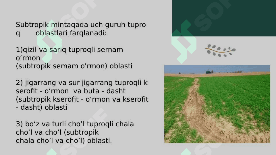 Subtropik mintaqa tuproqlari 8