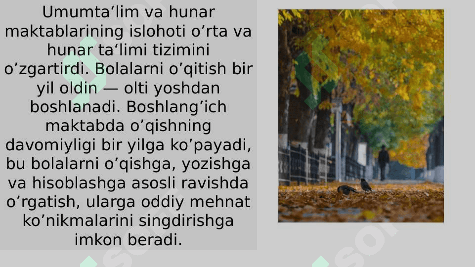 3-sinf tabiatshunoslik fanini  tahlil qilish 2
