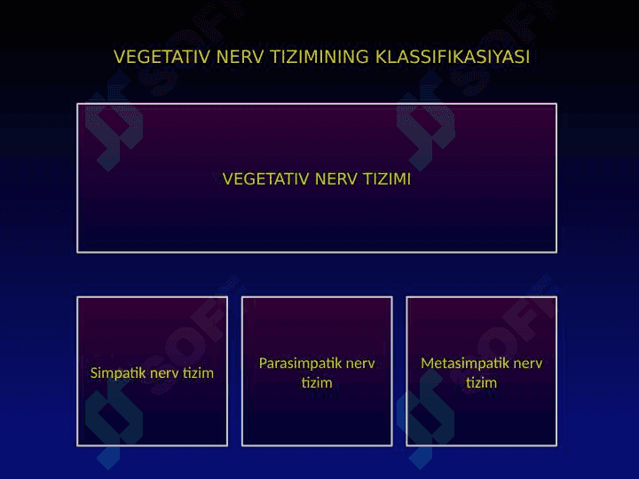 Vegetativ nerv sistemasi fiziologiyasi 2