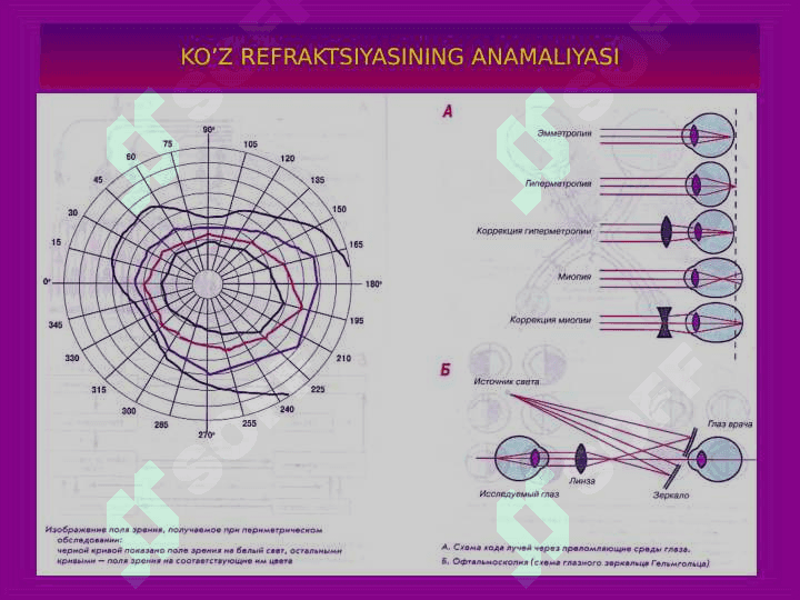 Ko`rish va eshitish analizatorlari fiziologiyasi 5