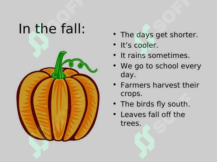 The Seasons of the Year 4