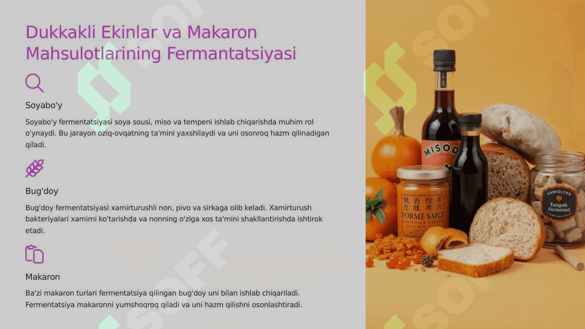 Mikroorganizmlarning oziq-ovqat sanoatida qo'llanilishi 4