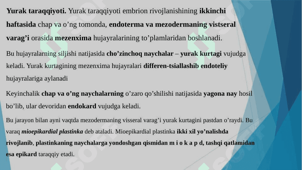 Yurak tuzilishi 3