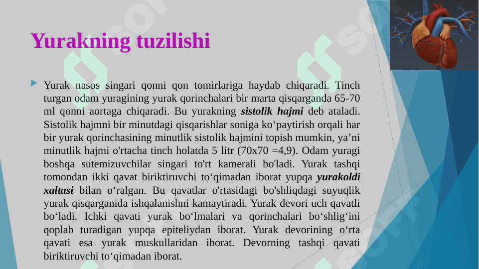 Yurak tuzilishi 7