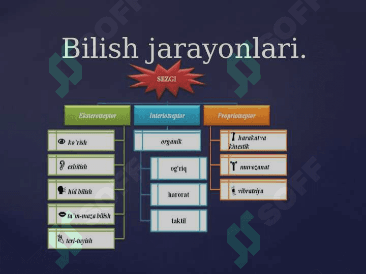 KASBIY FAOLIYATDA BILISH JARAYONLARI 5