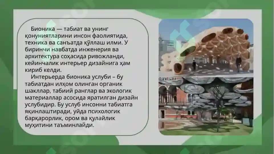 Интерьерда бионика услуби 3