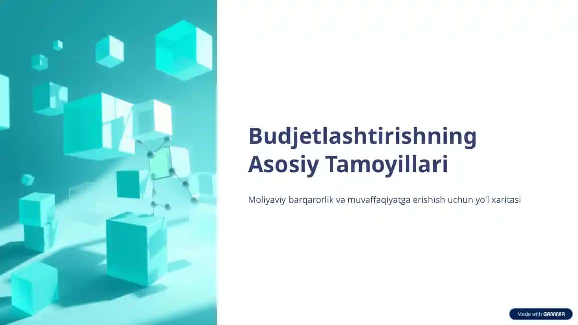 Budjetlashtirishning Asosiy Tamoyillari