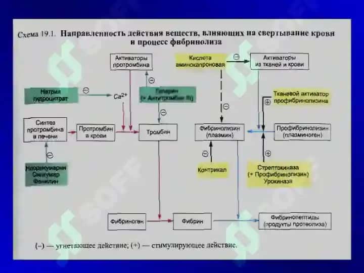 Qon sistemasiga ta’sir etuvchi moddalar 8