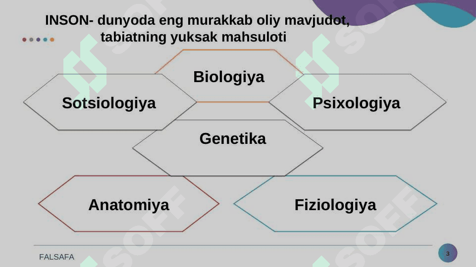 Inson falsafasi. Falsafiy antropologiya 3