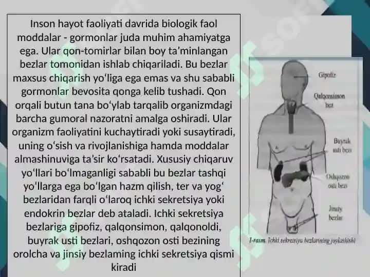 Ichki sekretsiya bezlari kasalliklarida bemorlarni so'rab surishtirish, anamnez yig’ish. Qalqonsimon bez kasalliklari simptamatologiyasi. Qandli diabet diagnostikasi 2