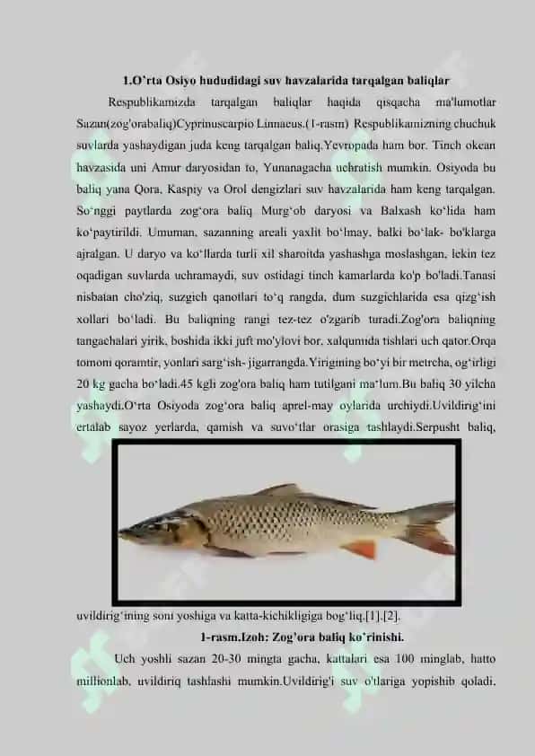 Suvda va botqoqlikda yashovchi hayvonlar xilma-xilligini saqlash 3